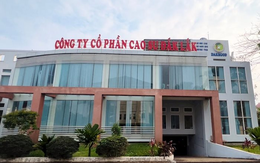 Khởi tố Tổng Giám đốc một công ty cao su trên sàn chứng khoán