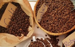 Vì sao giá cà phê tăng điên cuồng, cao nhất lịch sử?