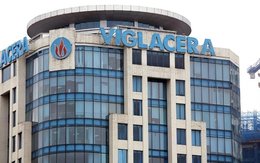 Viglacera lãi ròng hơn 200 tỷ trong quý 2/2023, tăng 7%, ngắt chuỗi 4 quý lợi nhuận giảm liên tiếp