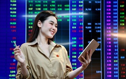 VN-Index vượt 1.200 điểm lần thứ 9, nhà đầu tư chứng khoán "vỡ oà"