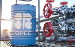 Việc cắt giảm sản lượng của OPEC+ dẫn tới kết cục bất ngờ