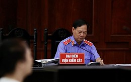 Luật sư xin nêu 'tình tiết mới', xin giảm án cho bà Nguyễn Phương Hằng