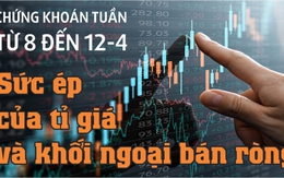 Infographic: Chứng khoán tuần tới (8 đến 12-4): Sức ép của tỉ giá và khối ngoại bán ròng