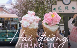Mùa hoa hải đường cực hút khách ở thành phố Trung Quốc: Đứng góc nào cũng có ảnh đẹp, món "kem hoa" tuyệt phẩm đang rần rần khắp cõi mạng