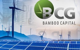 Tổng giám đốc mới của Bamboo Capital là ai?