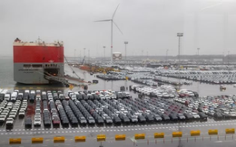 "Cơn bão" xe Trung Quốc ồ ạt đổ bộ châu Âu: xe nằm cảng hơn 18 tháng, hệ thống phân phối "ngộp thở"