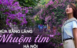Từ đường phố Hà Nội tới MXH đều ngập sắc tím bằng lăng: Năm nào cũng nở nhưng năm nay bỗng phủ sóng khắp mọi mặt trận