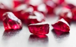 "Ruby đỏ" của Việt Nam được người Trung Quốc mê mẩn nay bỗng thành hàng hiếm: giá tăng cao gấp đôi, sản lượng thấp nhất trong lịch sử