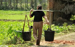 Chồng mất sớm, tôi oằn lưng nuôi 3 người em chồng: Cả làng cho là dại dột, 20 năm sau xảy ra biến cố khiến tôi hiểu LÒNG NGƯỜI!