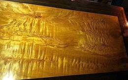 Loại gỗ đắt đỏ “suýt tuyệt chủng” vì cơn mê cuồng của Hoàng tộc Trung Quốc: Độc quyền hoàng gia, dân thường sẽ trả giá bằng mạng sống nếu cố dùng