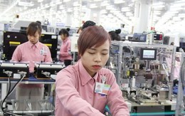 Việt Nam nhập siêu 2,6 tỷ USD trong nửa tháng
