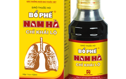 Dược Nam Hà báo lãi ròng năm 2023 ‘bốc hơi’ 54%, cắt giảm gần 1/3 nhân sự