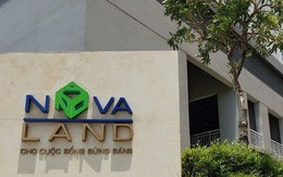 Công ty con của Novaland báo lỗ hơn 460 tỷ, gánh nợ trái phiếu 3.500 tỷ