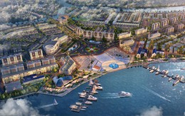 Lãnh đạo Đồng Nai nói gì về Aqua City của Novaland tại Quốc hội?