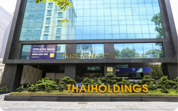 Thaiholdings muốn giảm sở hữu tại Thaigroup về còn 48%, không còn ghi nhận là công ty con