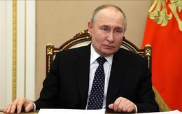 Tổng thống Putin muốn ngừng bắn ở Ukraine