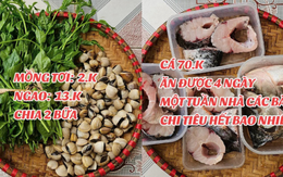 1 tuần đi chợ cho gia đình 4 người hết 264k ở Thái Bình: Giá ở nông thôn rẻ hay người nội trợ biết chi tiêu?