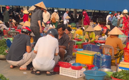 Theo chân Rảnh Thị đi chợ "chồm hổm" miền Tây: Có loại rau chỉ 5k/túi, đồ ăn tươi ngon ai nhìn cũng mê