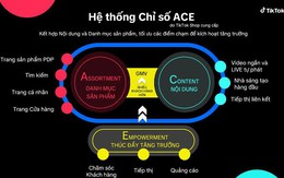 Thương hiệu đầu tư vào TikTok tăng nhanh từ Hệ thống chỉ số ACE