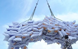 'Ông trùm' lúa gạo phía Nam vừa trúng thầu 100.000 tấn xuất Indonesia