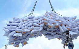 Cục Xuất Nhập khẩu yêu cầu VFA báo cáo vụ gạo “bỏ thầu giá thấp”