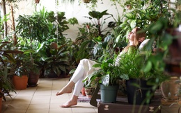 Outdoor Living - Phong cách sống của cộng đồng hạnh phúc