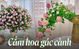 Chị em học ngay cách cắm gác cành tròn siêu đẹp cho hoa hồng ai nhìn cũng mê