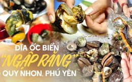 Quy Nhơn - Phú Yên đi một lần nhớ mãi cũng vì thứ đặc sản "ngập răng" này, trong đó có loại nghe tên là đỏ mặt nhưng vị ngon thì miễn bàn!