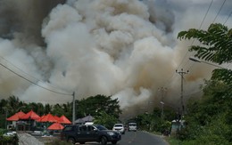 Đang cháy lớn tại Vườn Quốc gia Tràm Chim, hàng trăm người dập lửa