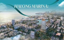 Halong Marina: Hành trình kiến tạo “báu vật” nghỉ dưỡng bên vịnh di sản