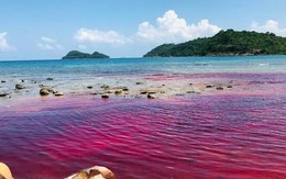 Phú Quốc: Xuất hiện hiện tượng hiếm gặp trên biển