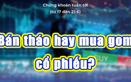 Chứng khoán tuần tới (từ 17 đến 21-6): Bán tháo hay mua gom cổ phiếu?