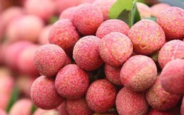 Vải thiều Việt Nam bán tại Thái Lan giá 250.000 đồng/kg