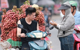 Bắc Giang: Người dân phấn khởi vì giá vải thiều cao chưa từng có, gần 100.000 đồng/kg