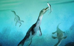 Thủy quái dài 7 m lộ diện sau 246 triệu năm tuyệt tích