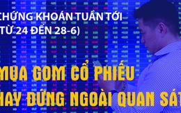 Infographic: Chứng khoán tuần tới (từ 24 đến 28-6) - Mua gom cổ phiếu hay quan sát?