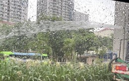 Xác minh thông tin công nhân phun nước tưới cây giữa trời mưa to ở Hà Nội