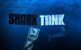 Tham gia Shark Tank Việt Nam và nổi tiếng trên truyền hình, một số 'cá mập' vướng 'lùm xùm', thậm chí có hai người bị khởi tố
