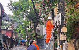 Cắt điện tại ô đất dự án chậm triển khai mọc lên nhiều phòng trọ 'ổ chuột' tại Hà Nội