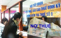 Đồng Nai công khai 253 doanh nghiệp nợ thuế quá hạn, chủ yếu rơi vào doanh nghiệp trong lĩnh vực bất động sản