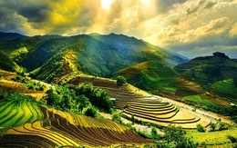 Năm 2025, Việt Nam trở thành điểm đến hấp dẫn, có năng lực phát triển du lịch cao trên thế giới