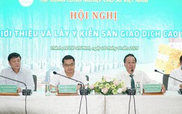 Sắp có sàn giao dịch cao su