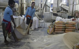 Giá gạo Ấn Độ giảm vì phí vận chuyển tăng vọt