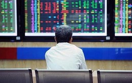 Góc nhìn chuyên gia: NĐT có thể cân nhắc giải ngân nếu VN-Index lùi về 1.200-1.220 điểm