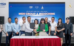 MSH Group và Indochine liên minh phân phối Lumi Hanoi