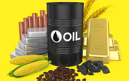 Thị trường ngày 7/6: Giá dầu tăng, vàng cao nhất 2 tuần, cà phê robusta cao kỷ lục
