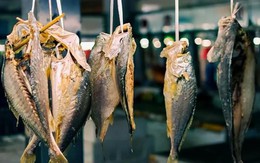 Những loại cá này nằm trong “danh sách thực phẩm gây ung thư”, đi chợ không nên mua dù có rẻ đến đâu