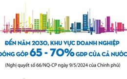 Đến năm 2030, khu vực doanh nghiệp đóng góp 65 - 70% GDP của cả nước