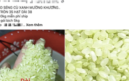 Trưởng Phòng Nông nghiệp: "Tôi cũng khó mua được gạo Séng Cù Mường Khương thật"