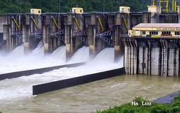 Lý do thủy điện Sông Bung 5 xin Quảng Nam cho miễn giảm tiền phạt